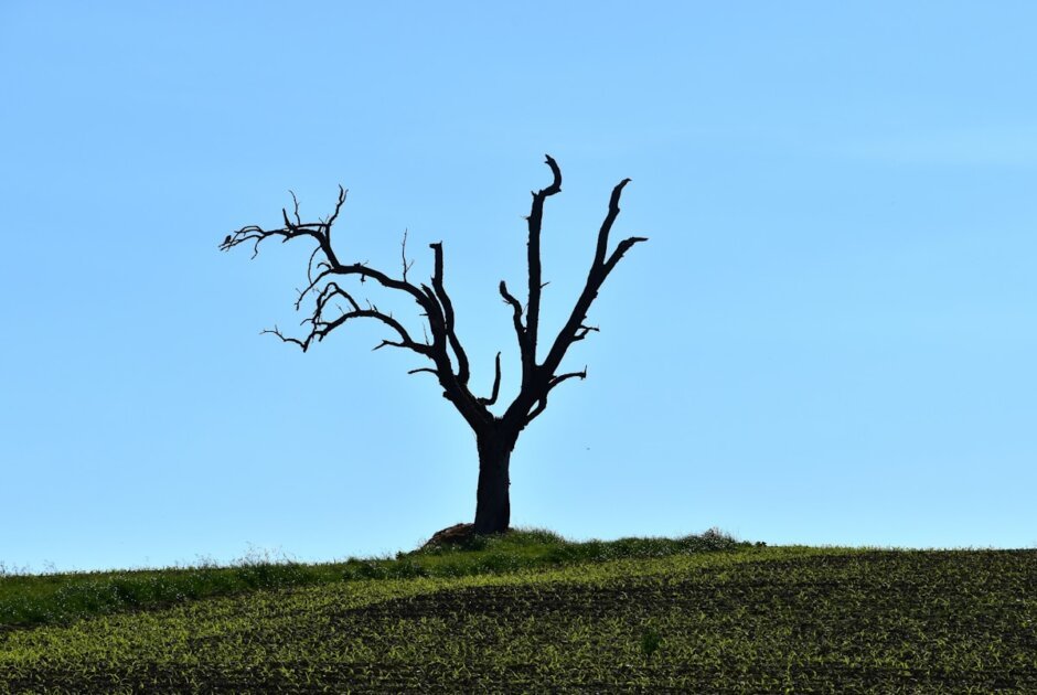 Kenapa Banking App Masih Terdeteksi Root Padahal Sudah Strong Integrity? Ini Solusinya - banking app, root detection, strong integrity